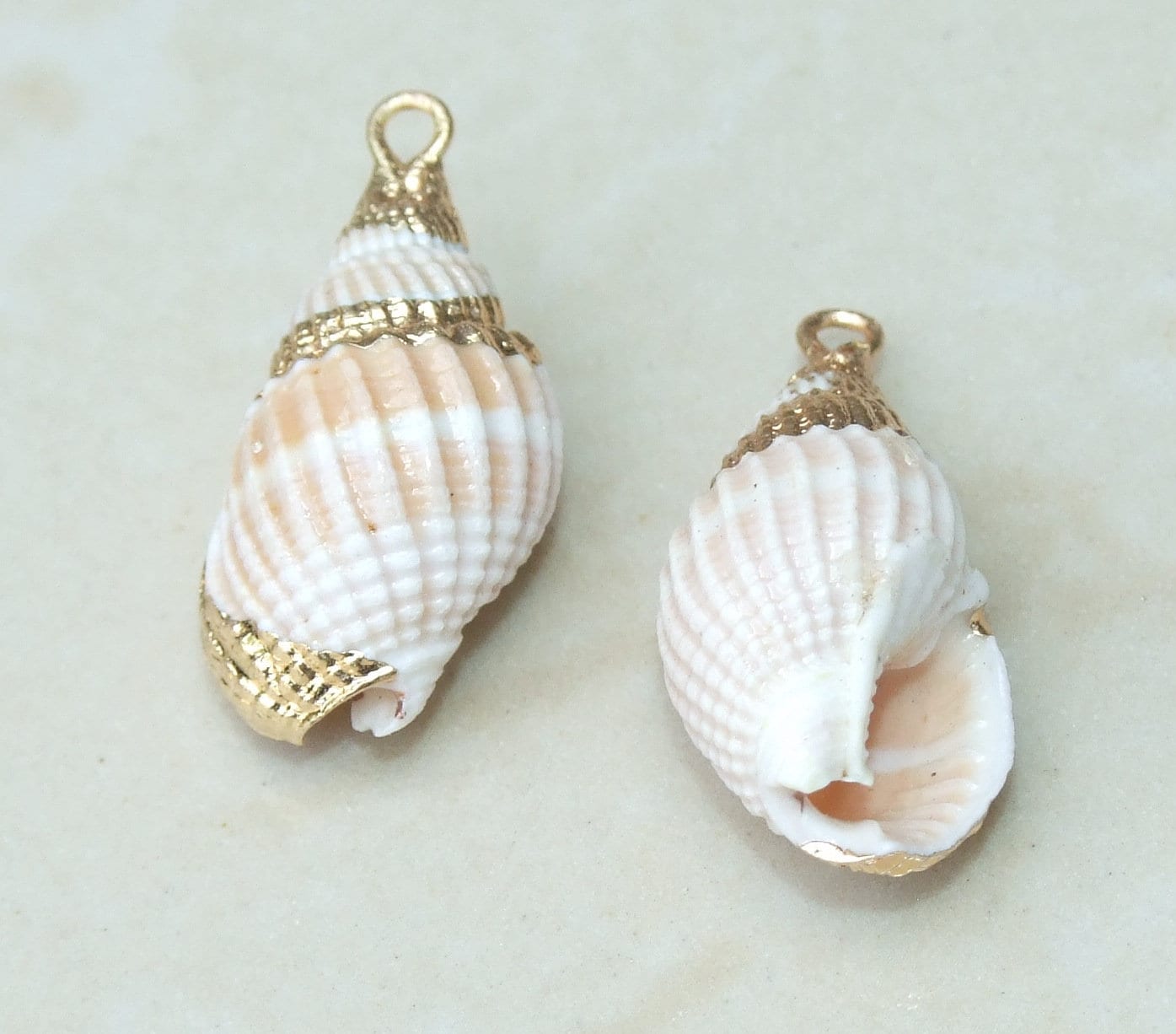 Pair Small Natural Gold Edge Seashell Pendants, Spiral Shell Bead, Seashell Pendant, Ocean Shell Jewelry, Conch Shell, 20-25mm, 62-18B - EDGBeadsandGems