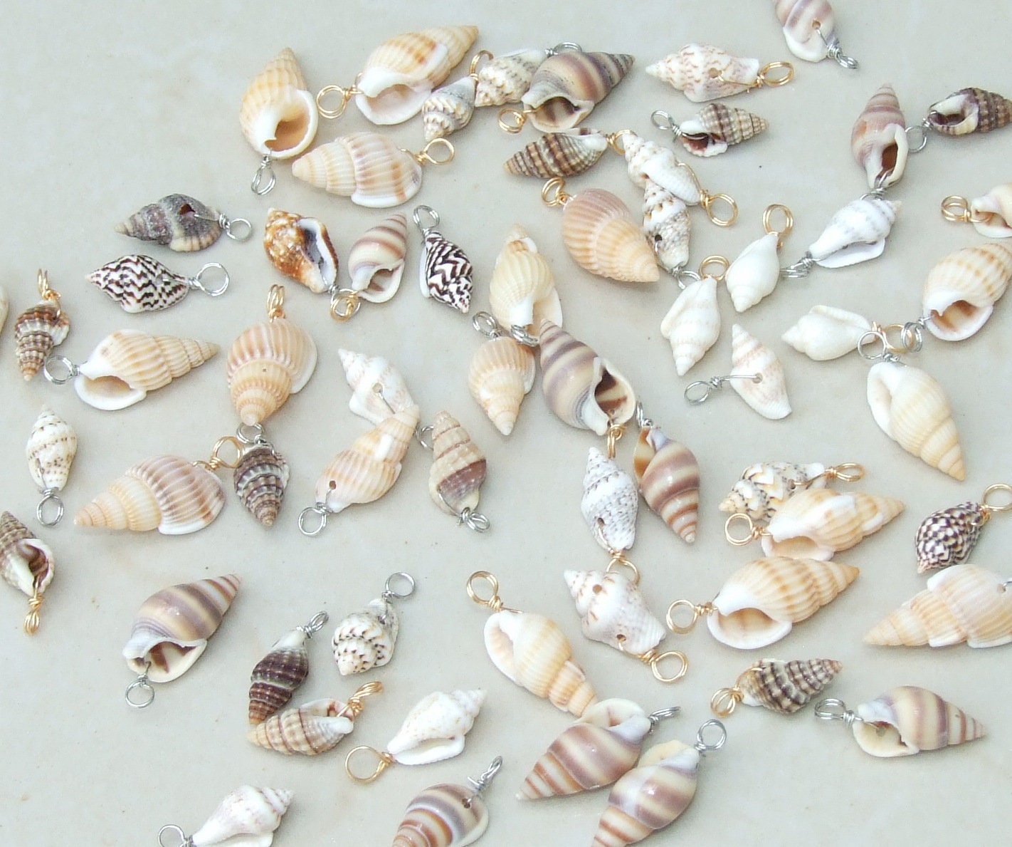 Five Small Natural Spiral Seashell Pendants, Spiral Shell Bead, Seashell Pendant, Ocean Shell Jewelry, Conch Shell, 15-25mm, 159 - EDGBeadsandGems