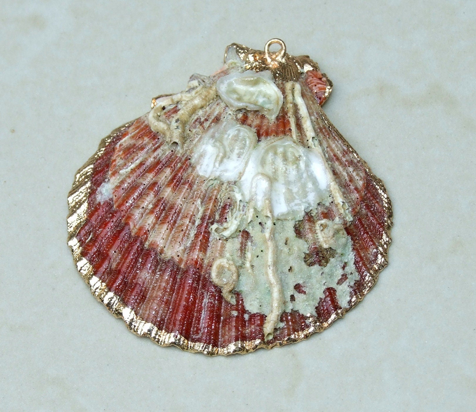 Barnacles, Shell Pendants with Barnacles, Color Washed Scallop Shell Pendant, Gold Edge, Seashell Necklace, Ocean Beach Jewelry, 45-65+mm - EDGBeadsandGems