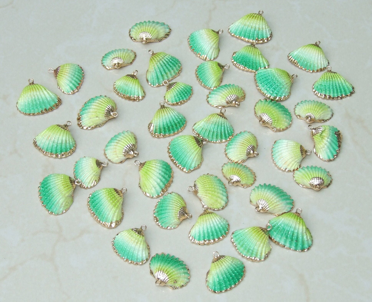 Small Gold Edge Natural Seashell, Sea Shell Pendant, Clam Shell, Shell Bead Pendant, Ocean, Beach, Summer Jewelry, BOHO, 25mm to 28mm 07B - EDGBeadsandGems