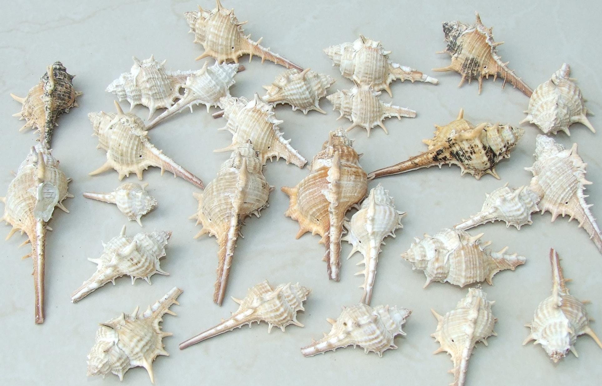 Liquid Metal Leaf Pendant - Large Leaf Pendant - Autumn Leaf - Pink - BOHO - Tribal - 35mm x 70mm - 2248 - EDGBeadsandGems