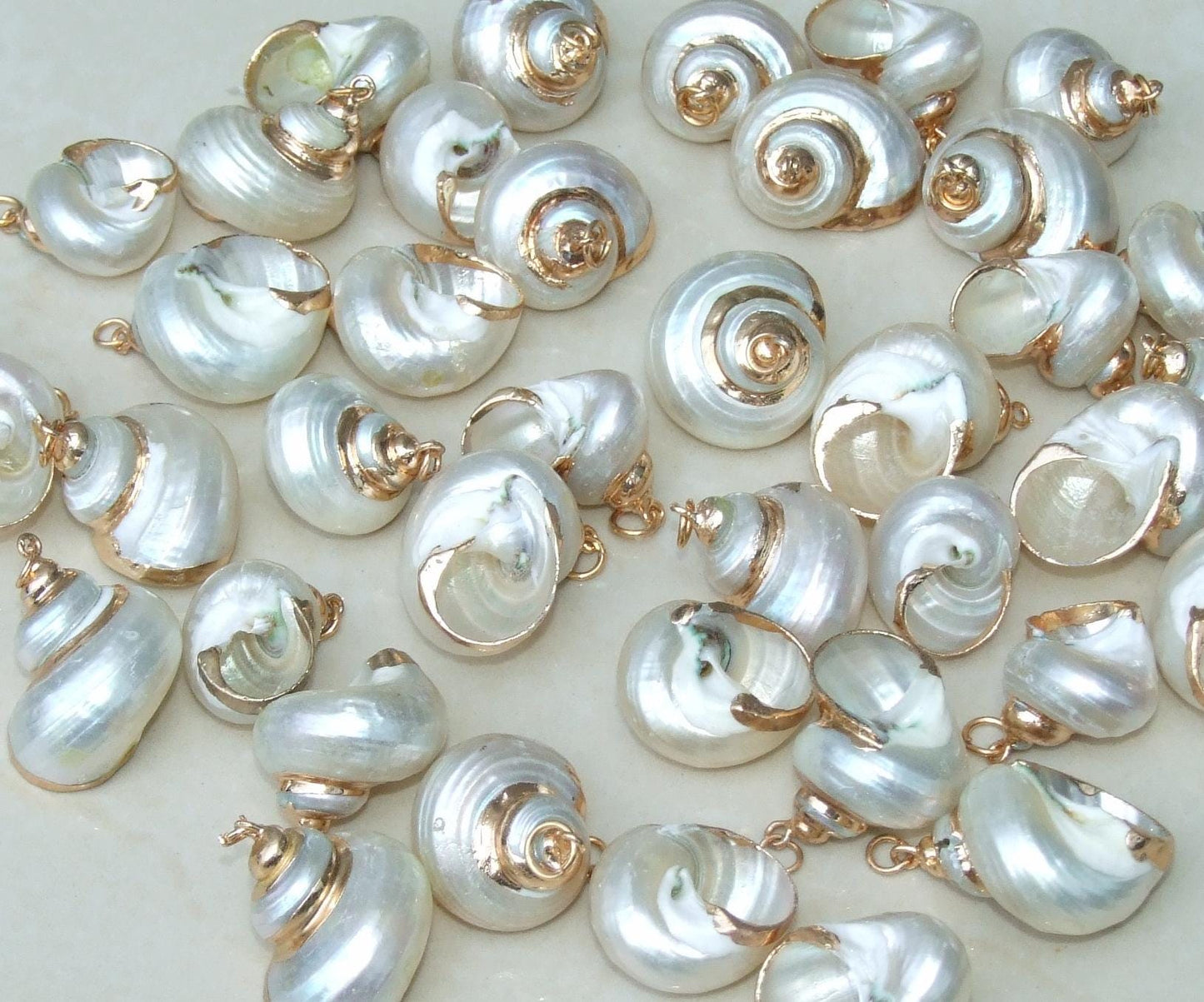 Conch Spiral Shell Pendant, Gold or Silver Edge, Natural Seashell, Seashell Necklace, Beach Jewelry, Ocean Seashell, 25-35mm, 36-02 - EDGBeadsandGems