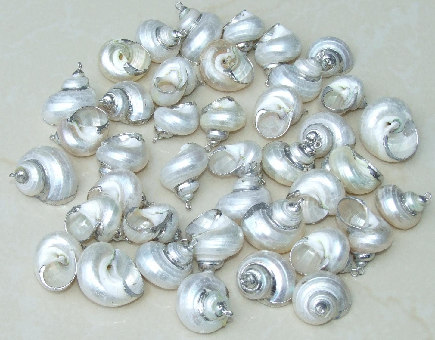 Conch Spiral Shell Pendant, Gold or Silver Edge, Natural Seashell, Seashell Necklace, Beach Jewelry, Ocean Seashell, 25-35mm, 36-02 - EDGBeadsandGems