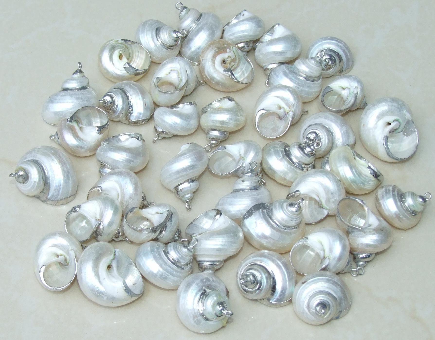 Conch Spiral Shell Pendant, Gold or Silver Edge, Natural Seashell, Seashell Necklace, Beach Jewelry, Ocean Seashell, 25-35mm, 36-02 - EDGBeadsandGems