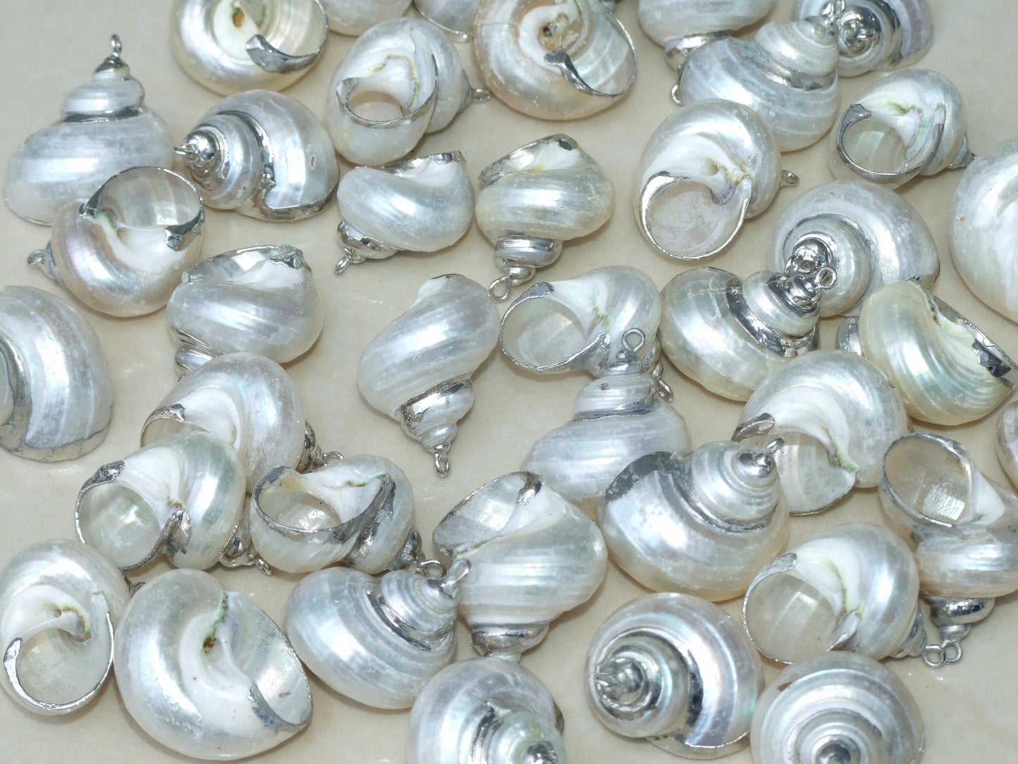 Conch Spiral Shell Pendant, Gold or Silver Edge, Natural Seashell, Seashell Necklace, Beach Jewelry, Ocean Seashell, 25-35mm, 36-02 - EDGBeadsandGems