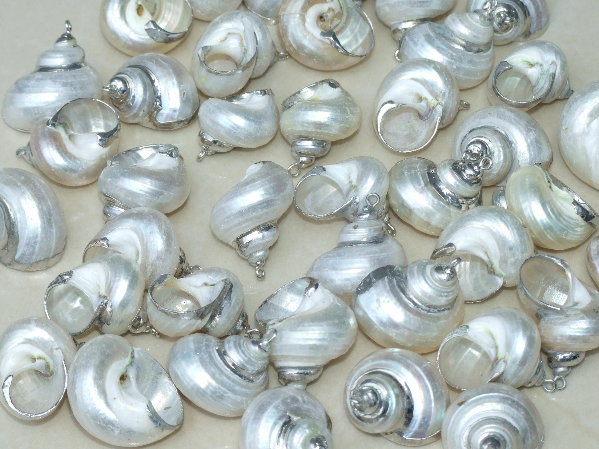 Conch Spiral Shell Pendant, Gold or Silver Edge, Natural Seashell, Seashell Necklace, Beach Jewelry, Ocean Seashell, 25-35mm, 36-02 - EDGBeadsandGems