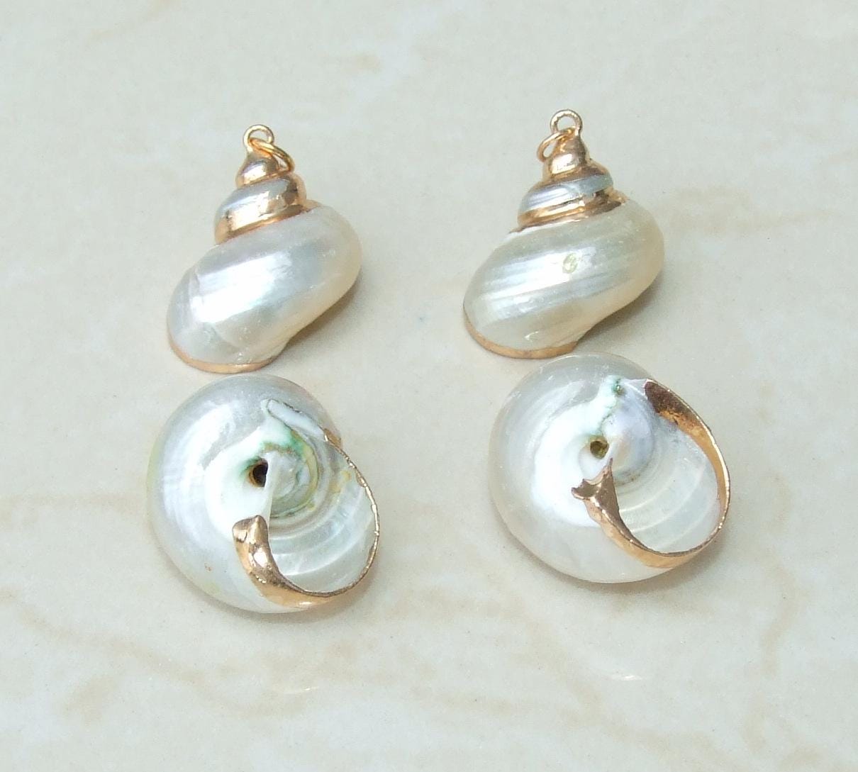 Conch Spiral Shell Pendant, Gold or Silver Edge, Natural Seashell, Seashell Necklace, Beach Jewelry, Ocean Seashell, 25-35mm, 36-02 - EDGBeadsandGems