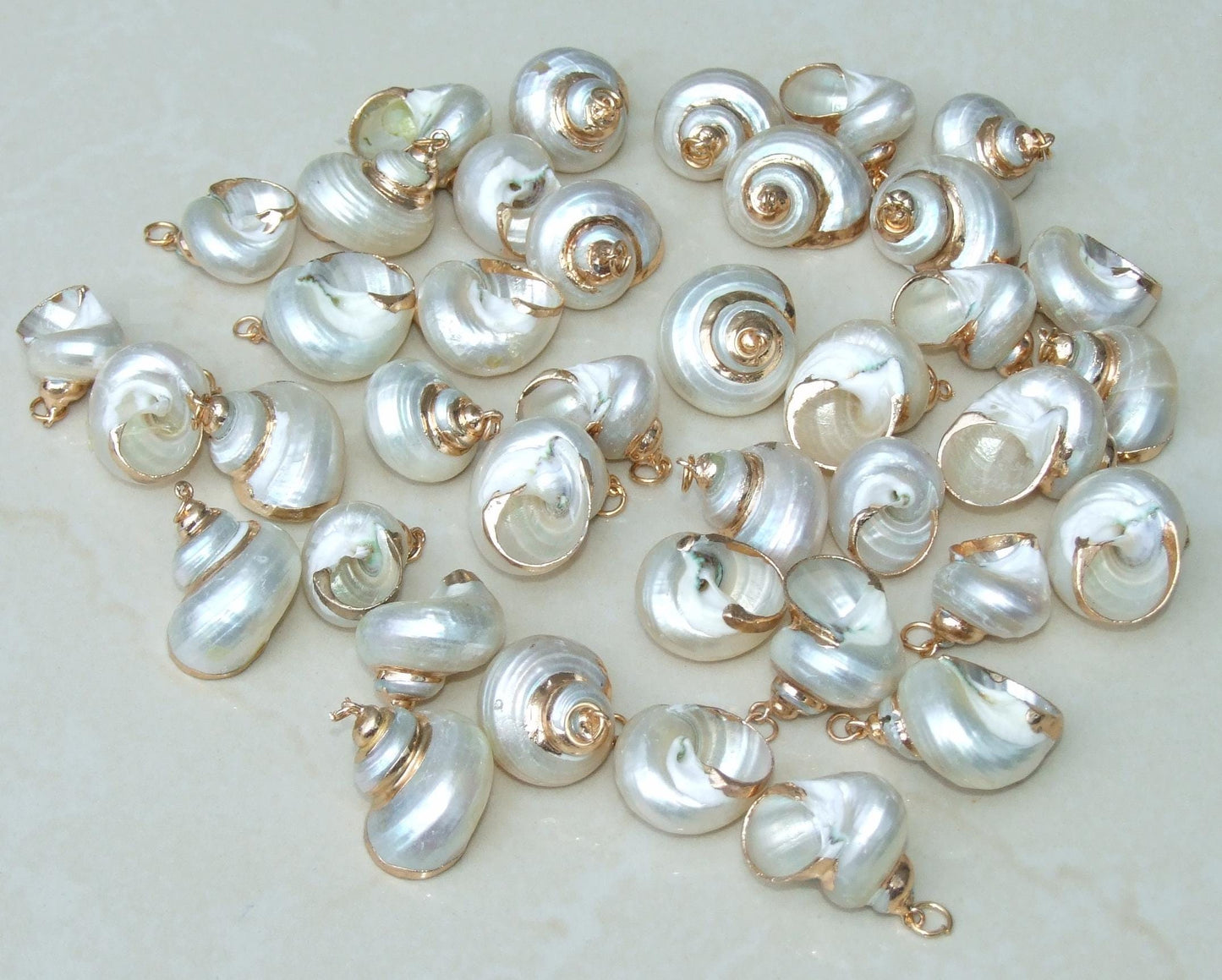 Conch Spiral Shell Pendant, Gold or Silver Edge, Natural Seashell, Seashell Necklace, Beach Jewelry, Ocean Seashell, 25-35mm, 36-02 - EDGBeadsandGems