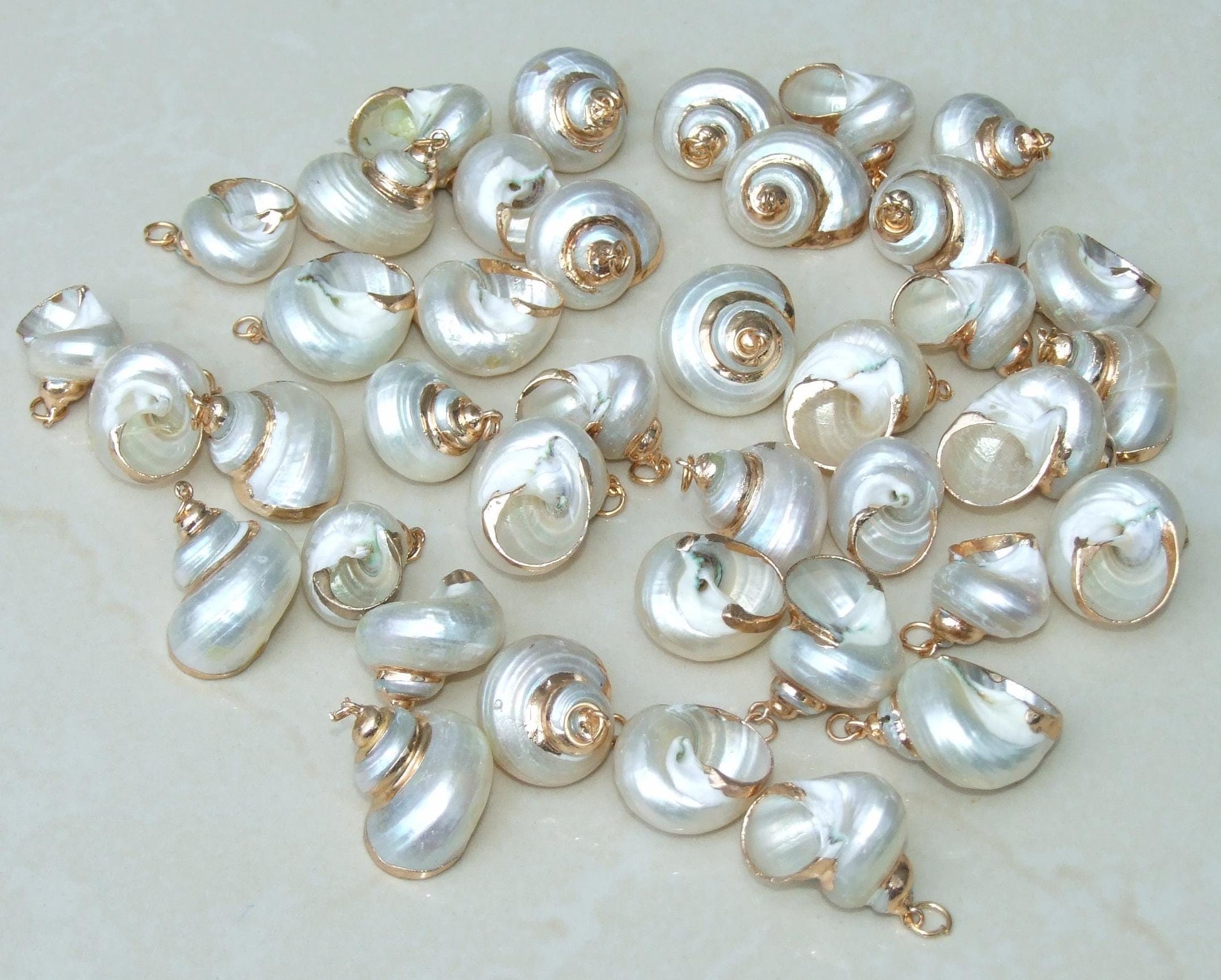 Conch Spiral Shell Pendant, Gold or Silver Edge, Natural Seashell, Seashell Necklace, Beach Jewelry, Ocean Seashell, 25-35mm, 36-02 - EDGBeadsandGems