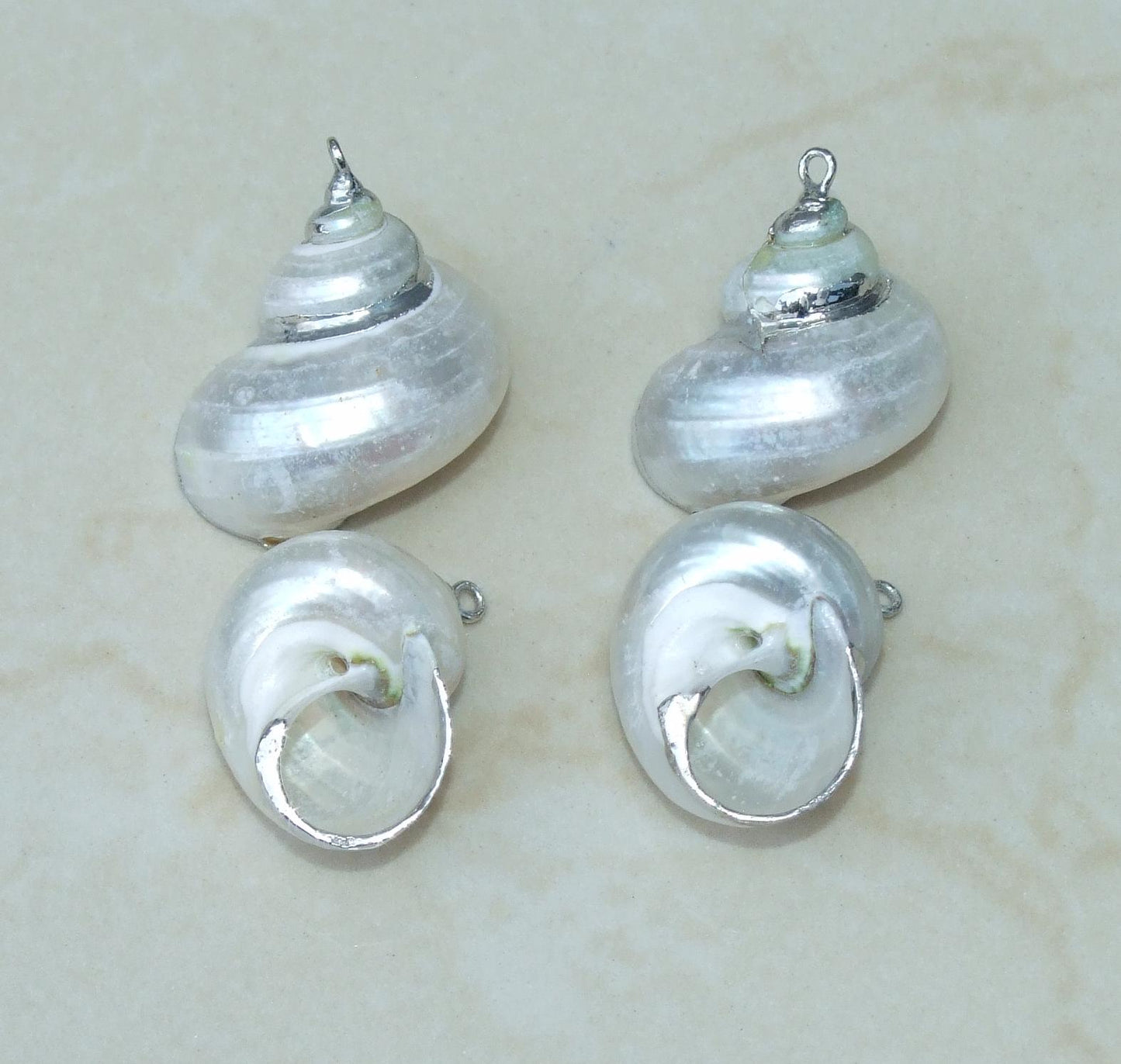 Conch Spiral Shell Pendant, Gold or Silver Edge, Natural Seashell, Seashell Necklace, Beach Jewelry, Ocean Seashell, 25-35mm, 36-02 - EDGBeadsandGems