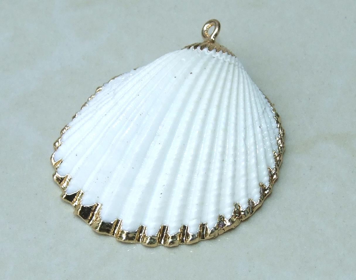 Natural Sea Shell Pendant, Seashell Bead, Shell Pendant, Charm, Clam Shell, Shell Jewelry, Beach Jewelry, White and Gold - 40/55mm - 61-05 - EDGBeadsandGems