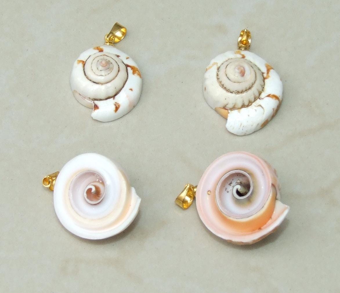 Shiva Eye Natural Spiral Shell Red Lip Pendant, Small Natural Seashell Pendant, Spiral Shell Bead, Beach, Shell Jewelry, 20-27mm, 45-06 - EDGBeadsandGems