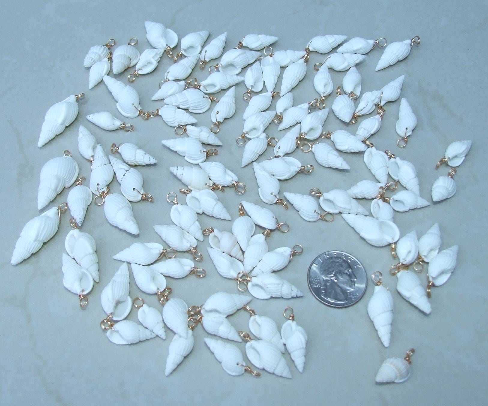 Five Small White Natural Spiral Seashell Pendants, Spiral Shell Bead, Seashell Pendant, Ocean Shell Jewelry, Conch Shell, 15-25mm, 2-01 - EDGBeadsandGems