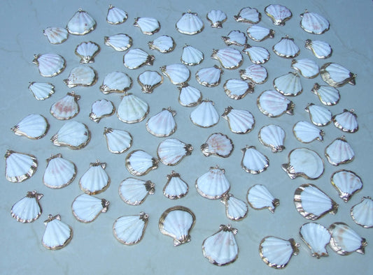 Raw Healing Crystal | Stones and Crystals