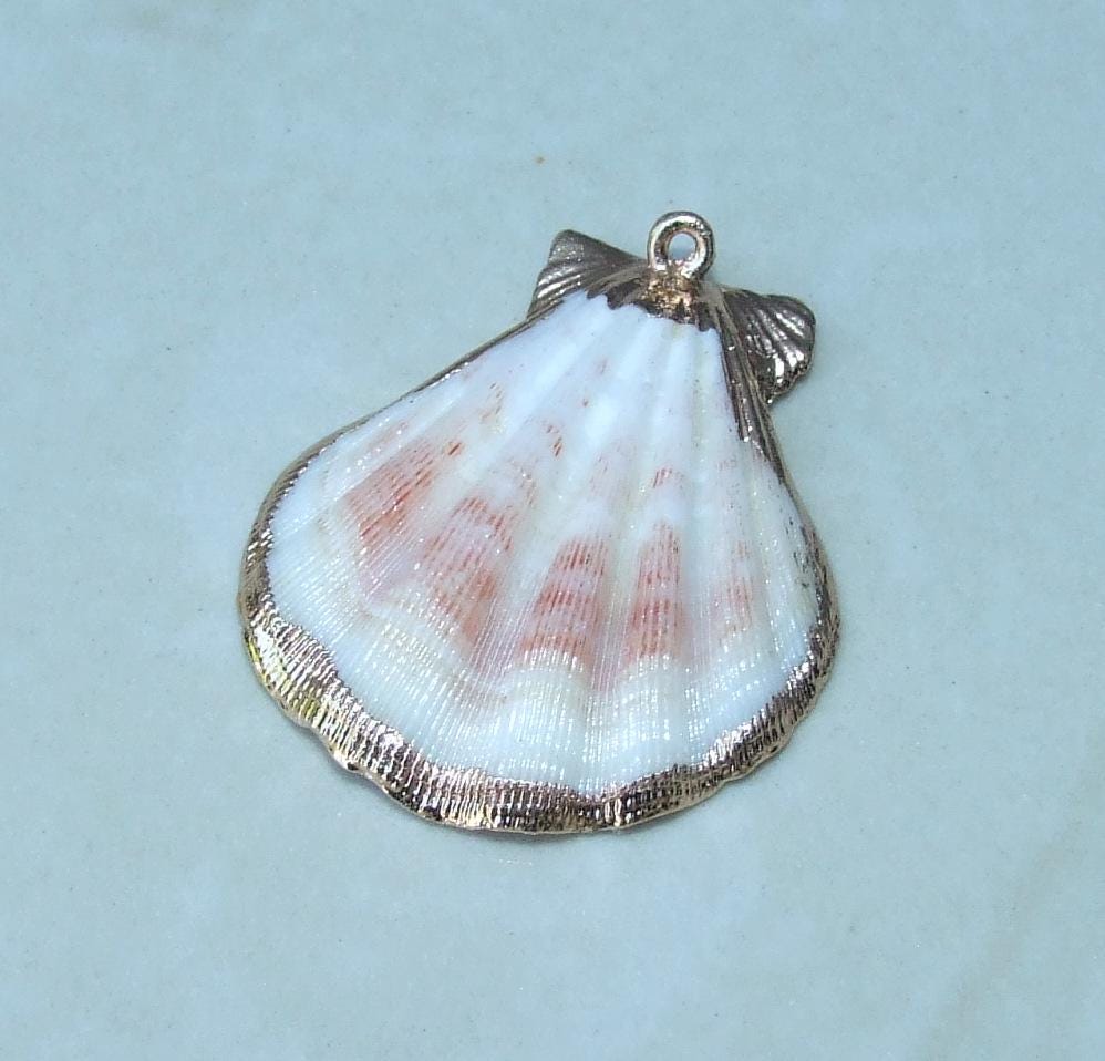Natural Scallop Shell Pendant, Gold Edge Loop, Natural Seashell, Deep Sea Shell, Shell Necklace, Beach Jewelry, Ocean Seashell, 35-45mm W04 - EDGBeadsandGems