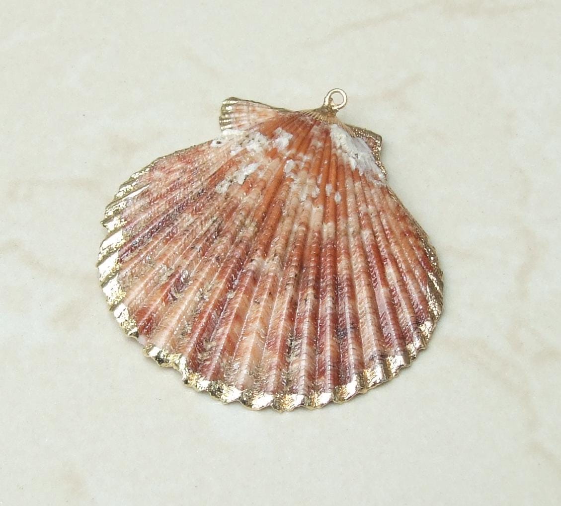 Barnacles, Shell Pendants with Barnacles, Color Washed Scallop Shell Pendant, Gold Edge, Seashell Necklace, Ocean Beach Jewelry, 45-65+mm - EDGBeadsandGems