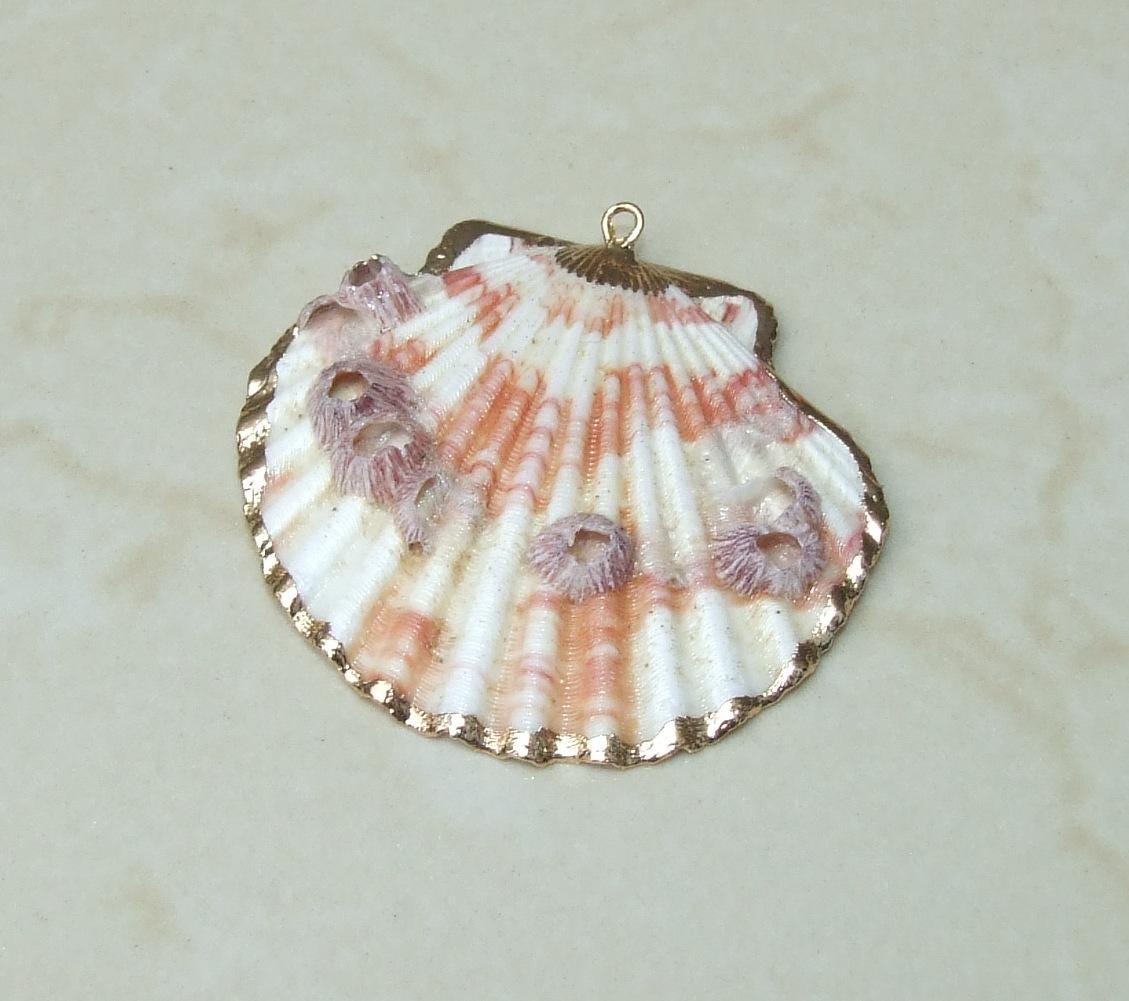 Barnacles, Shell Pendants with Barnacles, Color Washed Scallop Shell Pendant, Gold Edge, Seashell Necklace, Ocean Beach Jewelry, 45-65+mm - EDGBeadsandGems