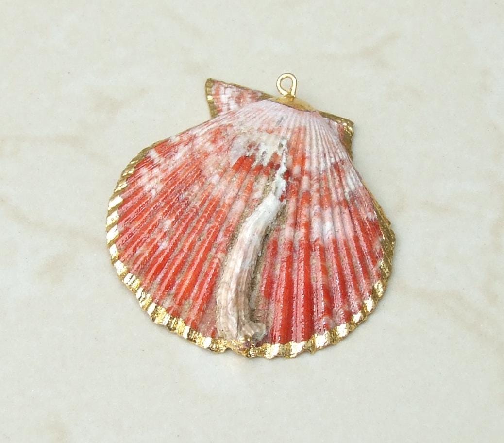 Barnacles, Shell Pendants with Barnacles, Color Washed Scallop Shell Pendant, Gold Edge, Seashell Necklace, Ocean Beach Jewelry, 45-65+mm - EDGBeadsandGems