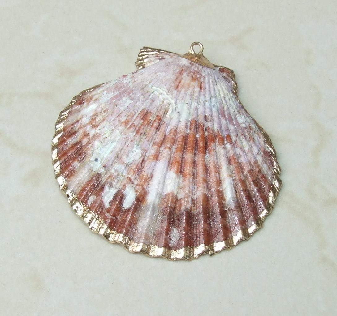 Barnacles, Shell Pendants with Barnacles, Color Washed Scallop Shell Pendant, Gold Edge, Seashell Necklace, Ocean Beach Jewelry, 45-65+mm - EDGBeadsandGems