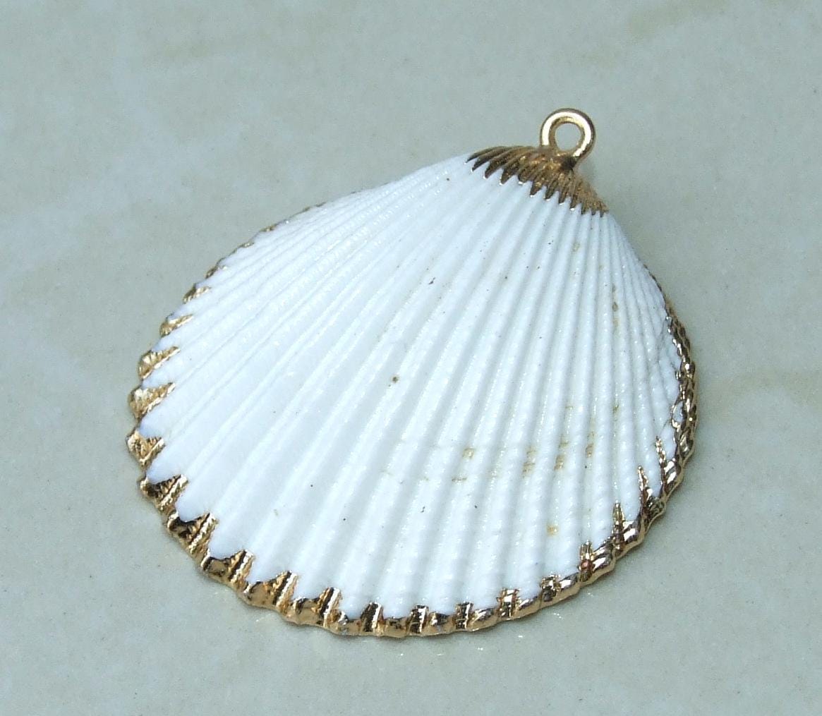 Natural Sea Shell Pendant, Seashell Bead, Shell Pendant, Charm, Clam Shell, Shell Jewelry, Beach Jewelry, White and Gold - 40/55mm - 61-05 - EDGBeadsandGems