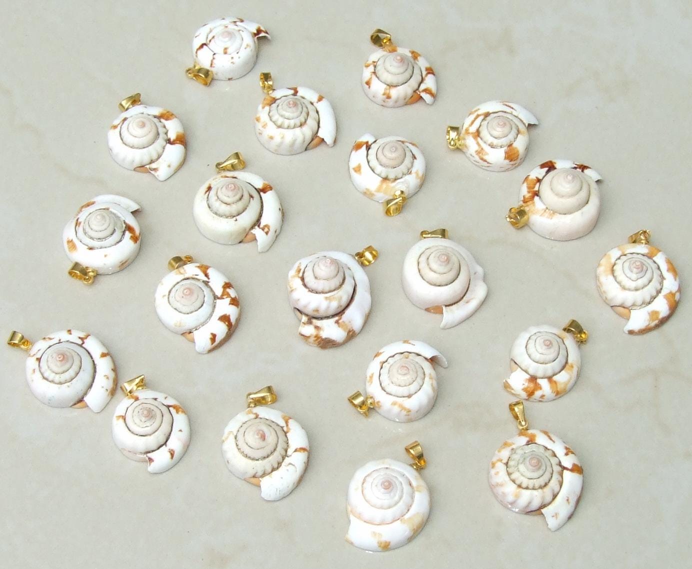 Shiva Eye Natural Spiral Shell Red Lip Pendant, Small Natural Seashell Pendant, Spiral Shell Bead, Beach, Shell Jewelry, 20-27mm, 45-06 - EDGBeadsandGems