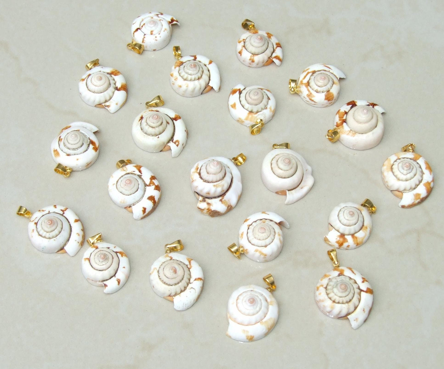 Shiva Eye Natural Spiral Shell Red Lip Pendant, Small Natural Seashell Pendant, Spiral Shell Bead, Beach, Shell Jewelry, 20-27mm, 45-06 - EDGBeadsandGems