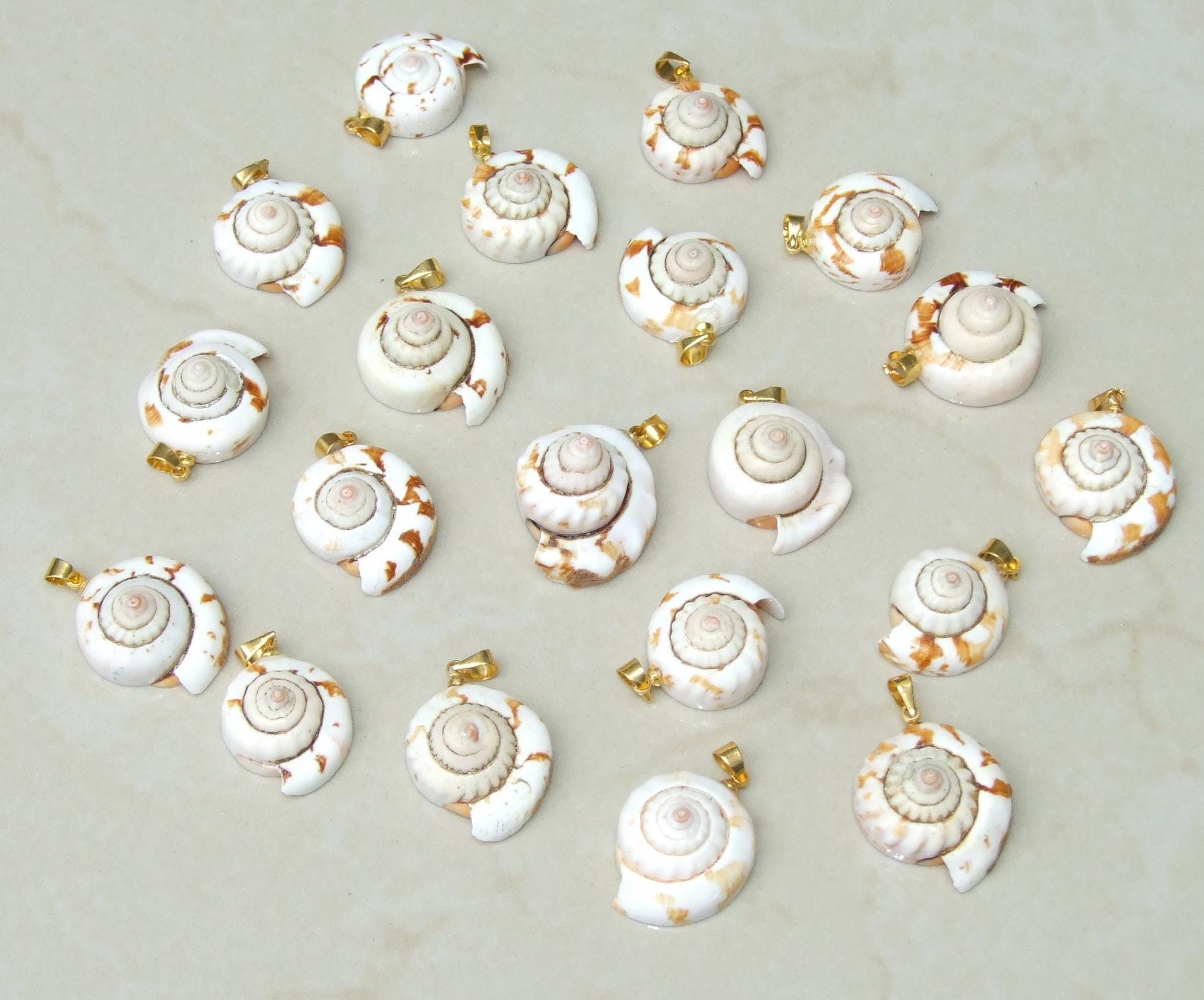 Shiva Eye Natural Spiral Shell Red Lip Pendant, Small Natural Seashell Pendant, Spiral Shell Bead, Beach, Shell Jewelry, 20-27mm, 45-06 - EDGBeadsandGems