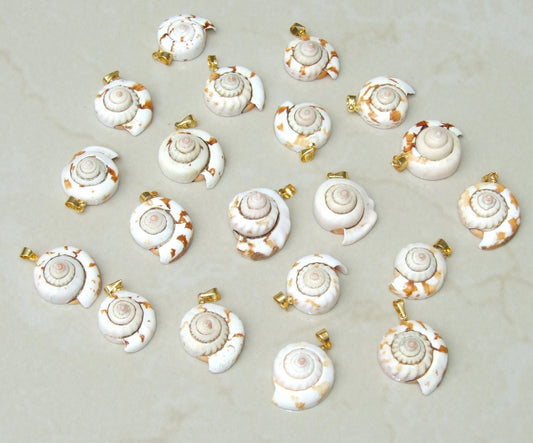 Raw Healing Crystal | Stones and Crystals