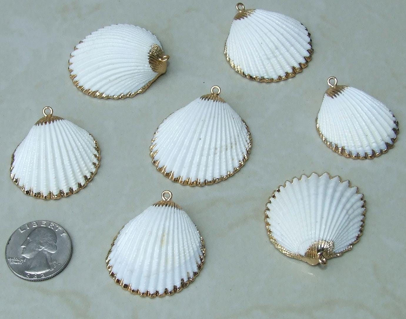 Natural Sea Shell Pendant, Seashell Bead, Shell Pendant, Charm, Clam Shell, Shell Jewelry, Beach Jewelry, White and Gold - 40/55mm - 61-05 - EDGBeadsandGems