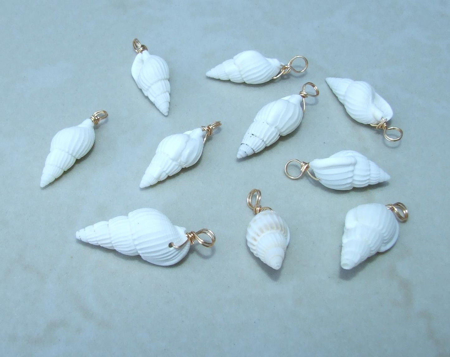 Five Small White Natural Spiral Seashell Pendants, Spiral Shell Bead, Seashell Pendant, Ocean Shell Jewelry, Conch Shell, 15-25mm, 2-01 - EDGBeadsandGems