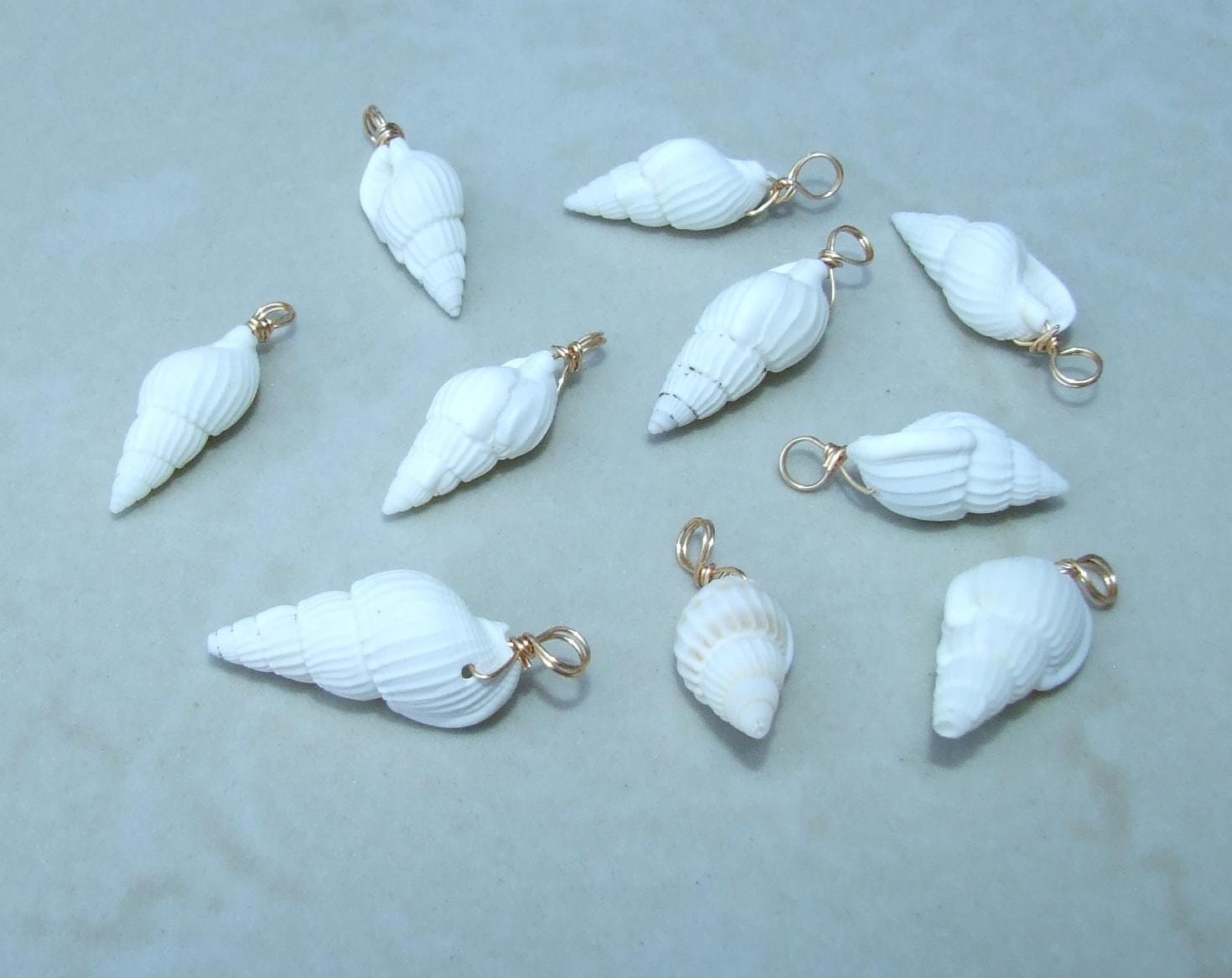 Five Small White Natural Spiral Seashell Pendants, Spiral Shell Bead, Seashell Pendant, Ocean Shell Jewelry, Conch Shell, 15-25mm, 2-01 - EDGBeadsandGems