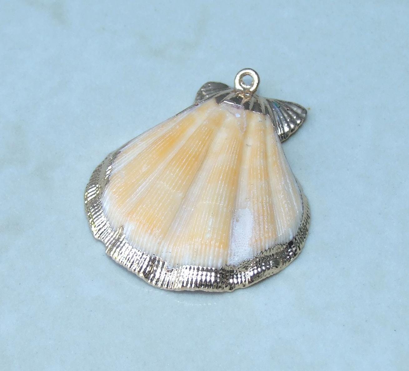 Natural Scallop Shell Pendant, Gold Edge Loop, Natural Seashell, Deep Sea, Shell Necklace, Beach Jewelry, Ocean Seashell, 35-45mm, 75-01 - EDGBeadsandGems
