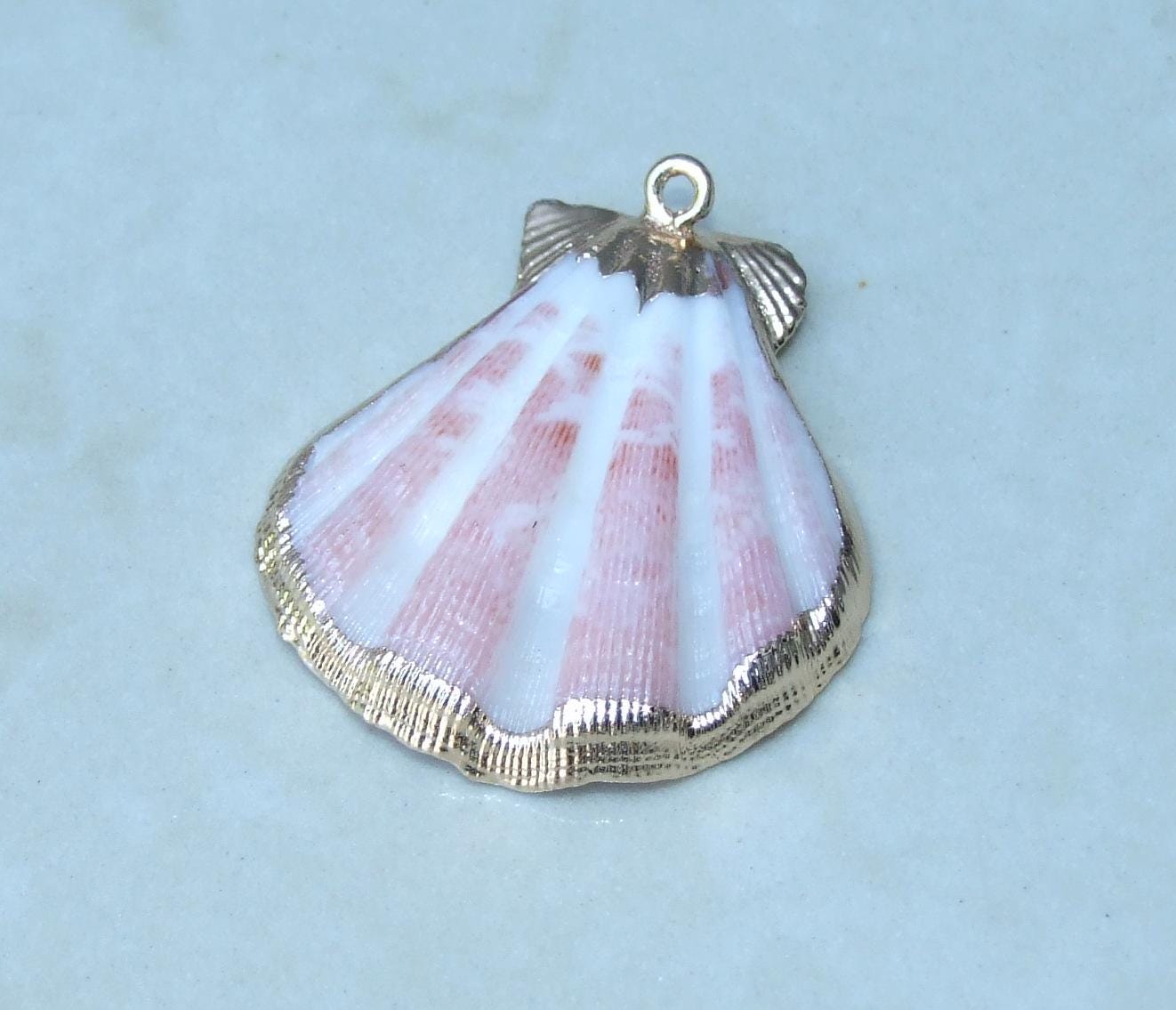 Natural Scallop Shell Pendant, Gold Edge Loop, Natural Seashell, Deep Sea, Shell Necklace, Beach Jewelry, Ocean Seashell, 35-45mm, 75-01 - EDGBeadsandGems