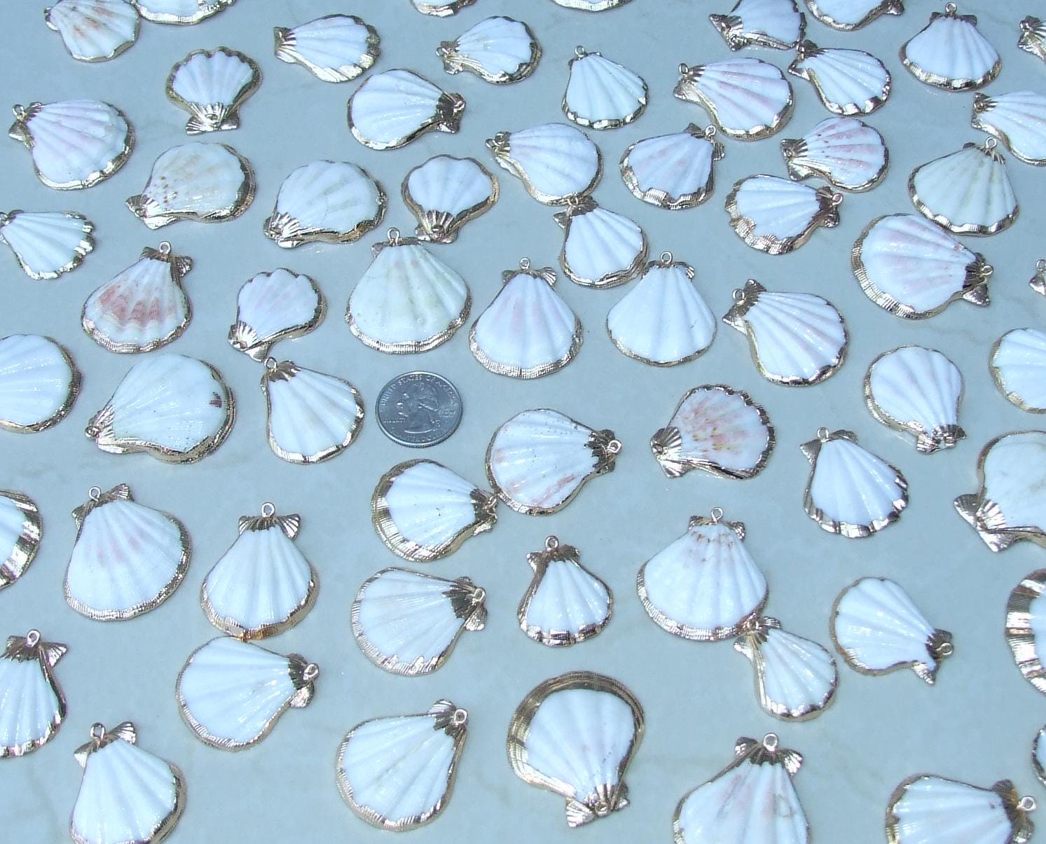 Natural Scallop Shell Pendant, Gold Edge Loop, Natural Seashell, Deep Sea Shell, Shell Necklace, Beach Jewelry, Ocean Seashell, 35-45mm W04 - EDGBeadsandGems