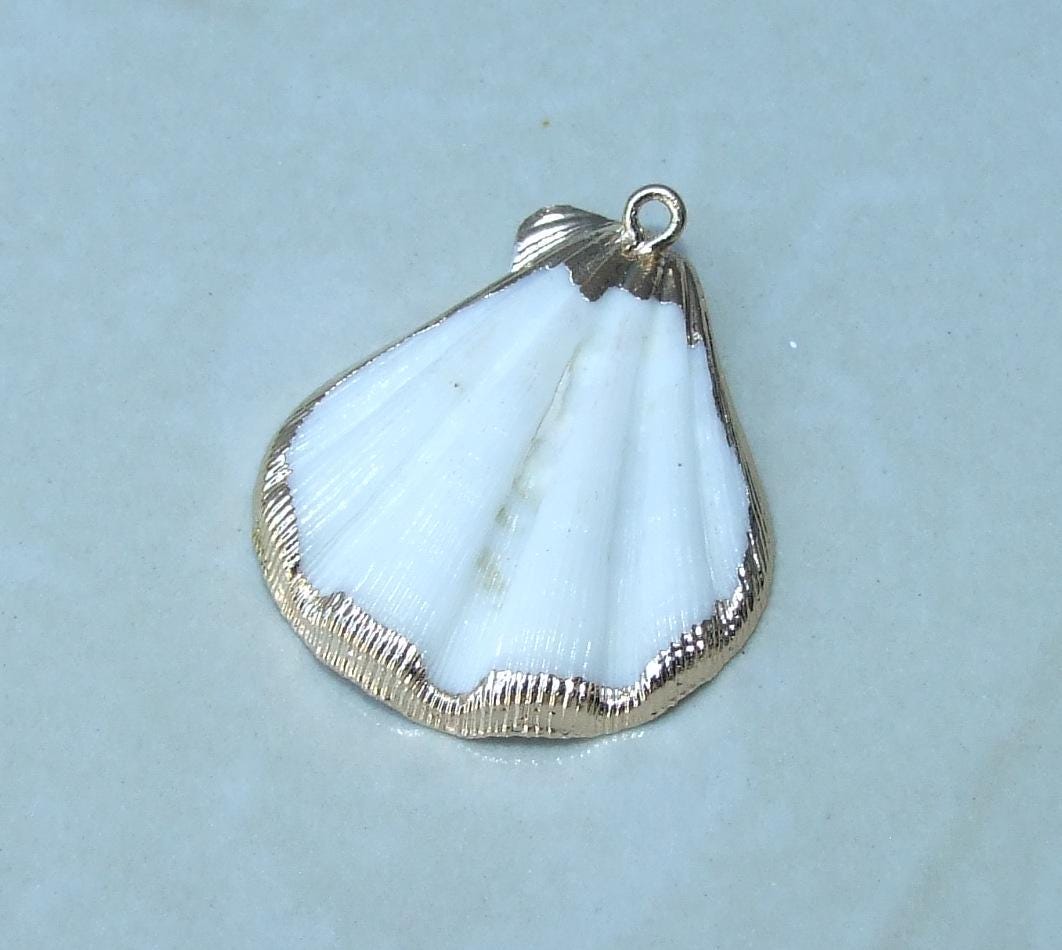 Natural Scallop Shell Pendant, Gold Edge Loop, Natural Seashell, Deep Sea Shell, Shell Necklace, Beach Jewelry, Ocean Seashell, 35-45mm W04 - EDGBeadsandGems
