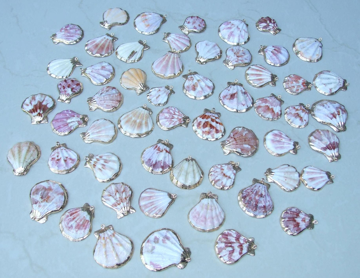 Natural Scallop Shell Pendant, Gold Edge Loop, Natural Seashell, Deep Sea, Shell Necklace, Beach Jewelry, Ocean Seashell, 35-45mm, 75-01 - EDGBeadsandGems