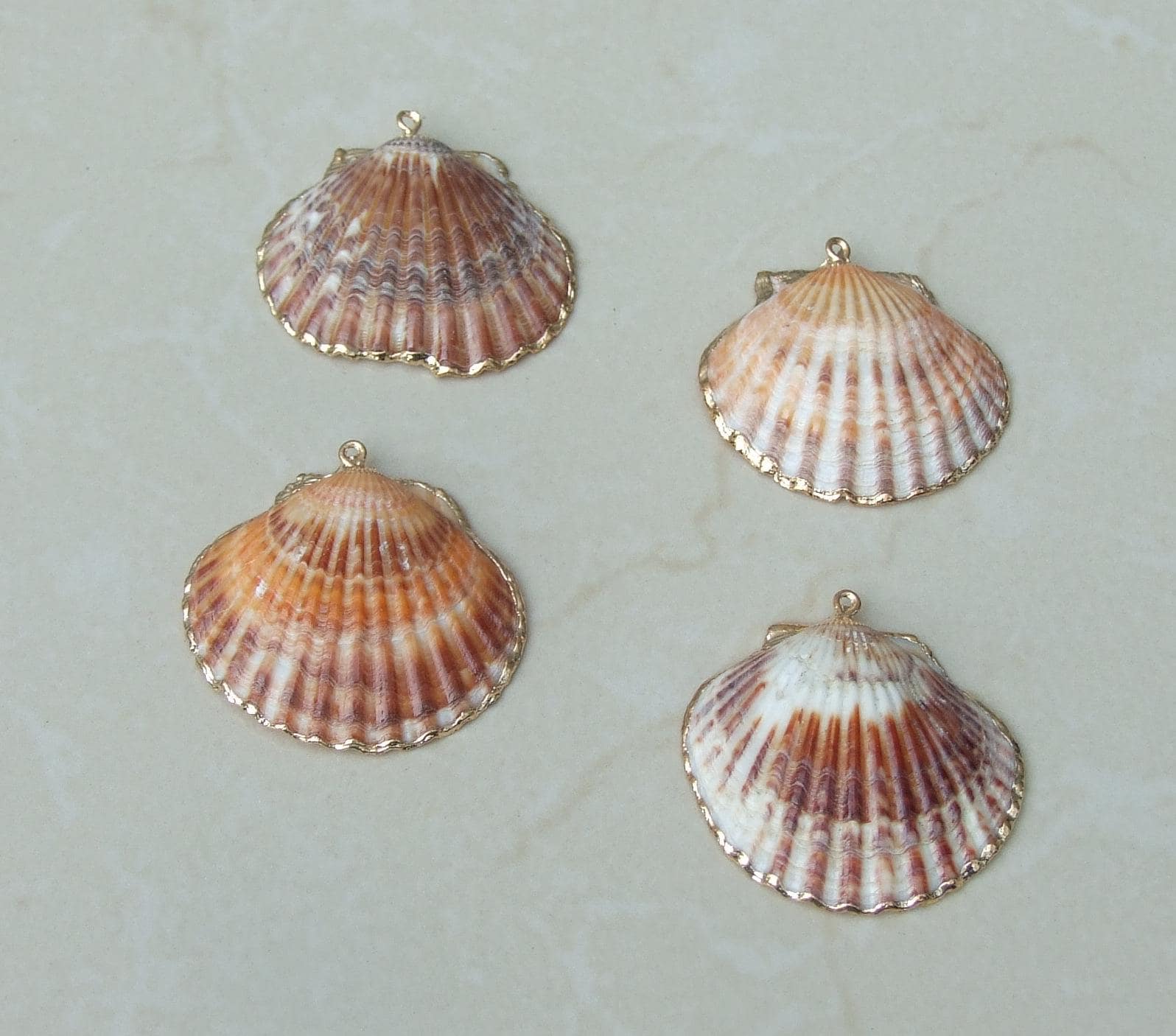 Natural Scallop Shell Pendant, Gold Edge, Deep Sea Shell, Shell Necklace, Beach Jewelry, Ocean Seashell, Medium, Large, In Three Colors, NB - EDGBeadsandGems