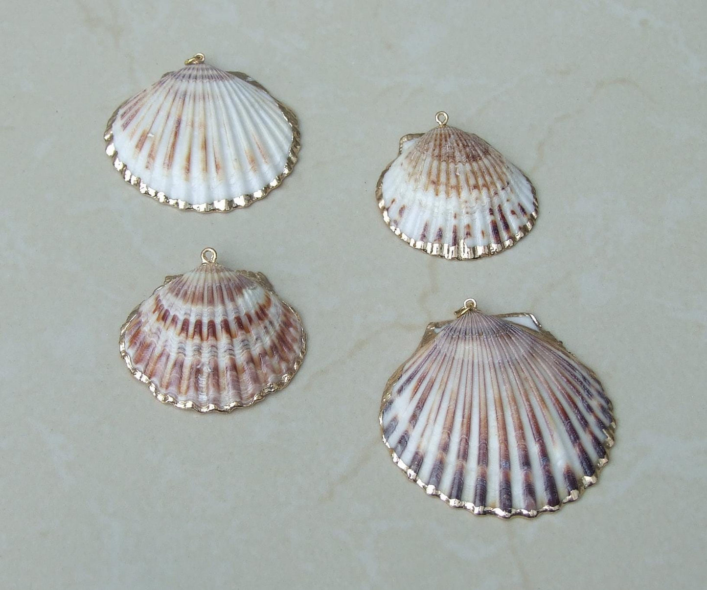 Natural Scallop Shell Pendant, Gold Edge, Deep Sea Shell, Shell Necklace, Beach Jewelry, Ocean Seashell, Medium, Large, In Three Colors, NB - EDGBeadsandGems