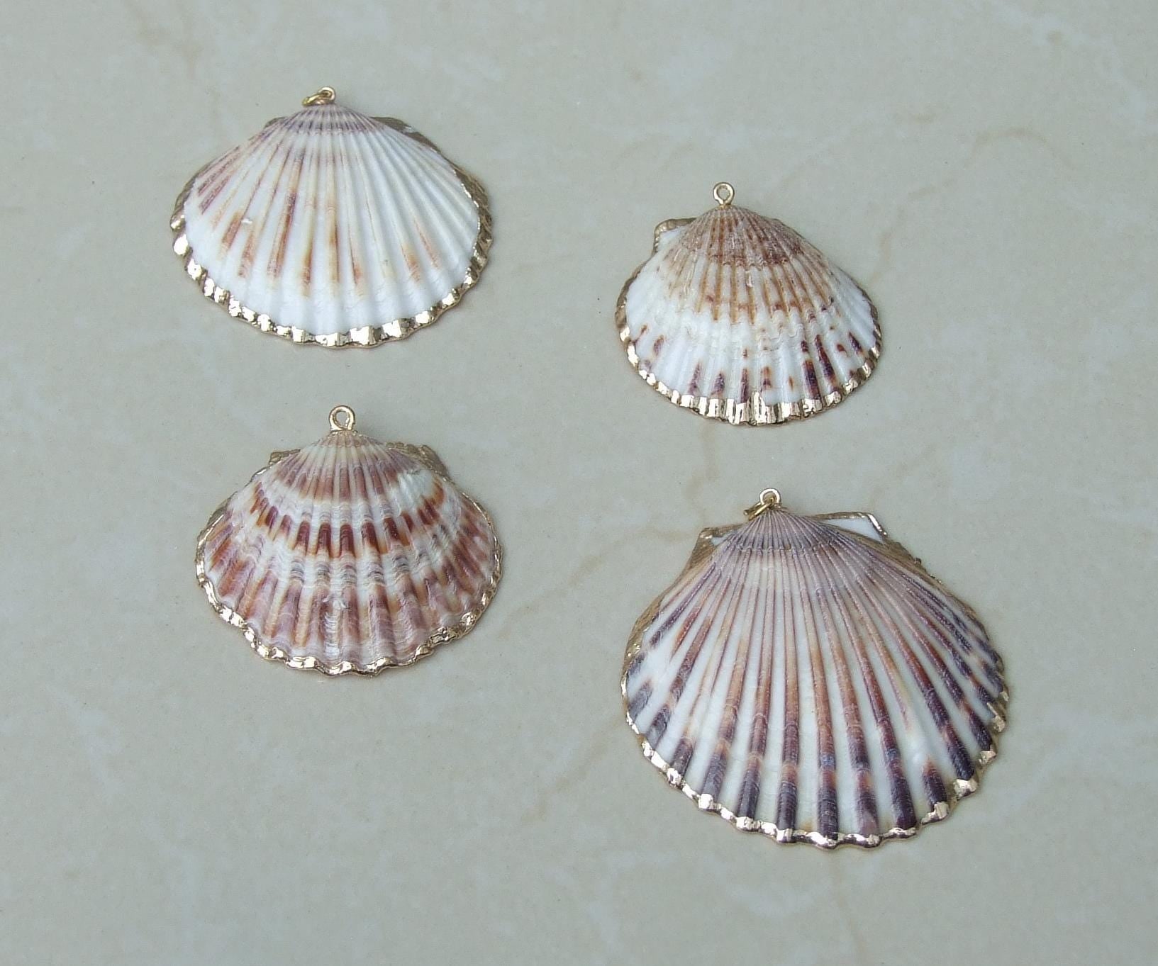 Natural Scallop Shell Pendant, Gold Edge, Deep Sea Shell, Shell Necklace, Beach Jewelry, Ocean Seashell, Medium, Large, In Three Colors, NB - EDGBeadsandGems