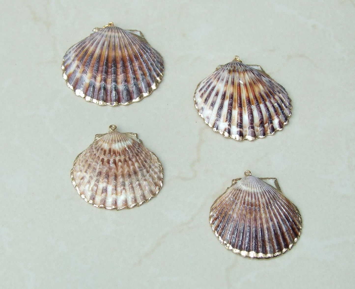 Natural Scallop Shell Pendant, Gold Edge, Deep Sea Shell, Shell Necklace, Beach Jewelry, Ocean Seashell, Medium, Large, In Three Colors, NB - EDGBeadsandGems