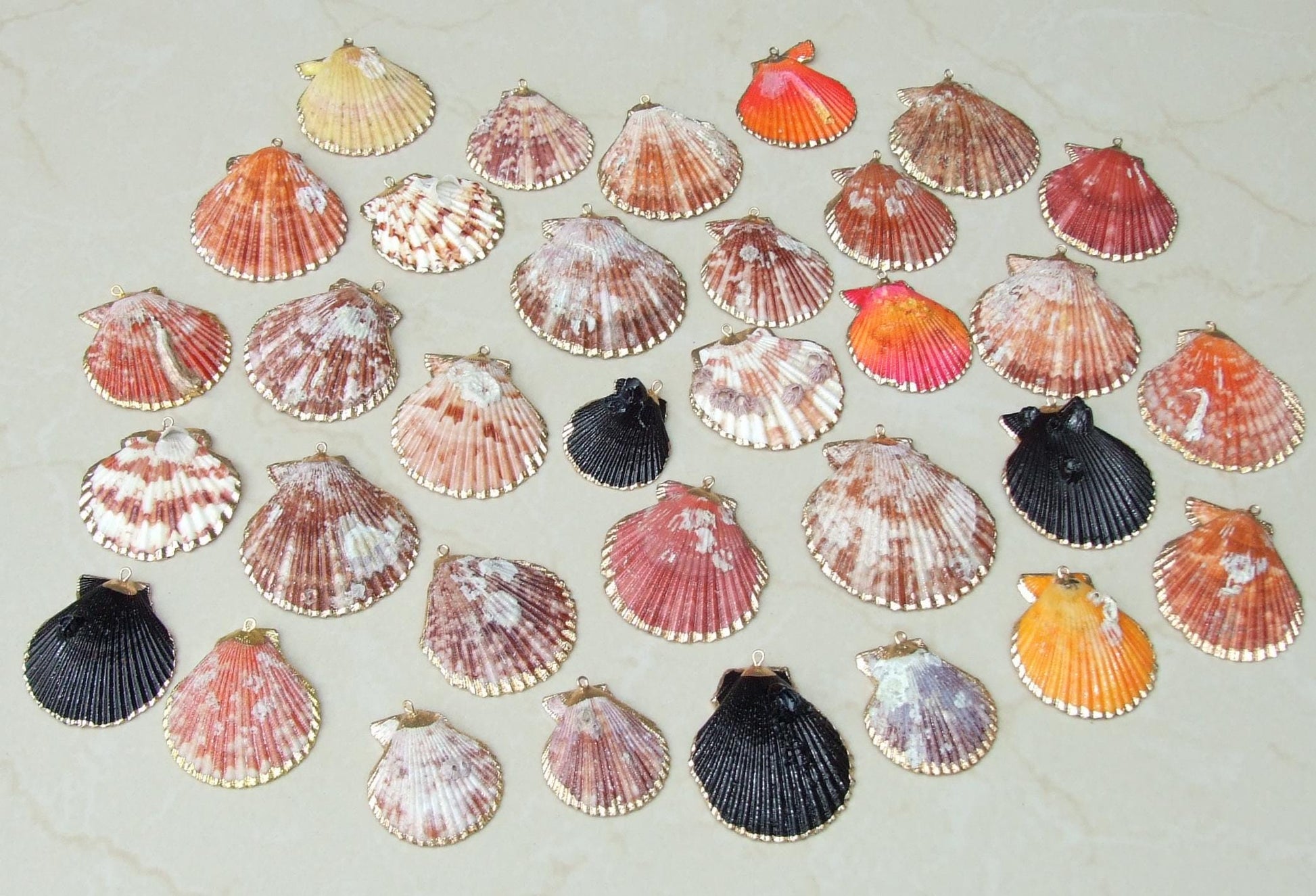 Barnacles, Shell Pendants with Barnacles, Color Washed Scallop Shell Pendant, Gold Edge, Seashell Necklace, Ocean Beach Jewelry, 30-50+mm - EDGBeadsandGems