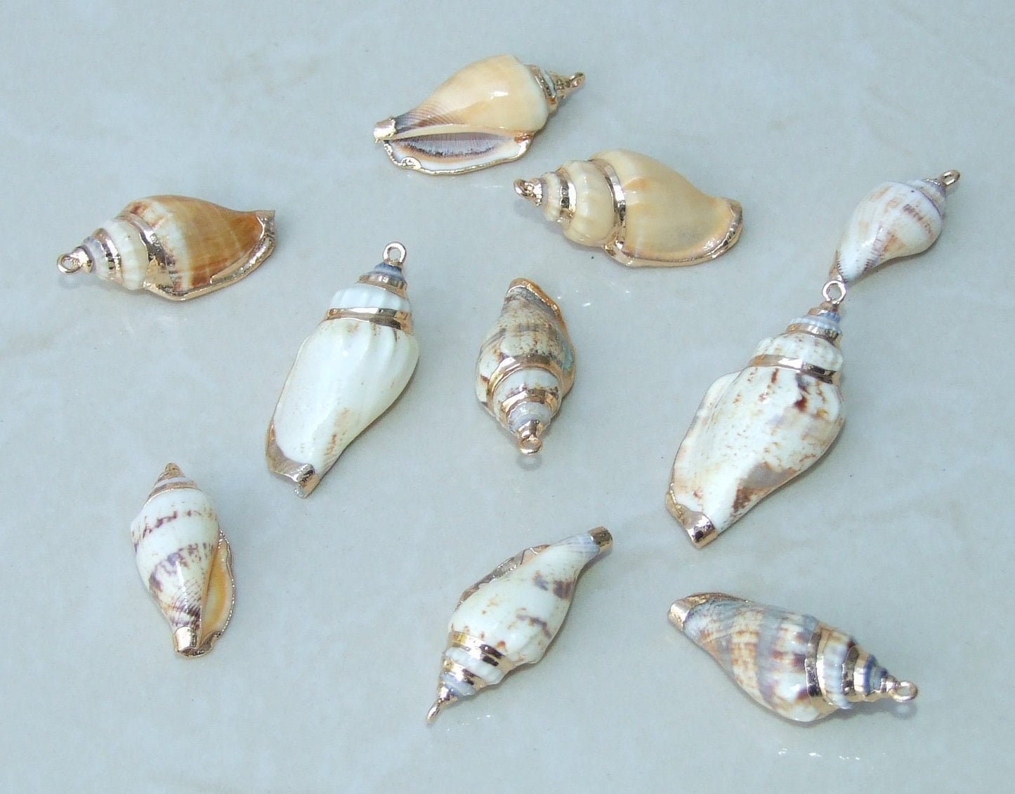 May include: A collection of nine seashells with gold accents. The seashells are various shapes and sizes and have a light brown and white color scheme.