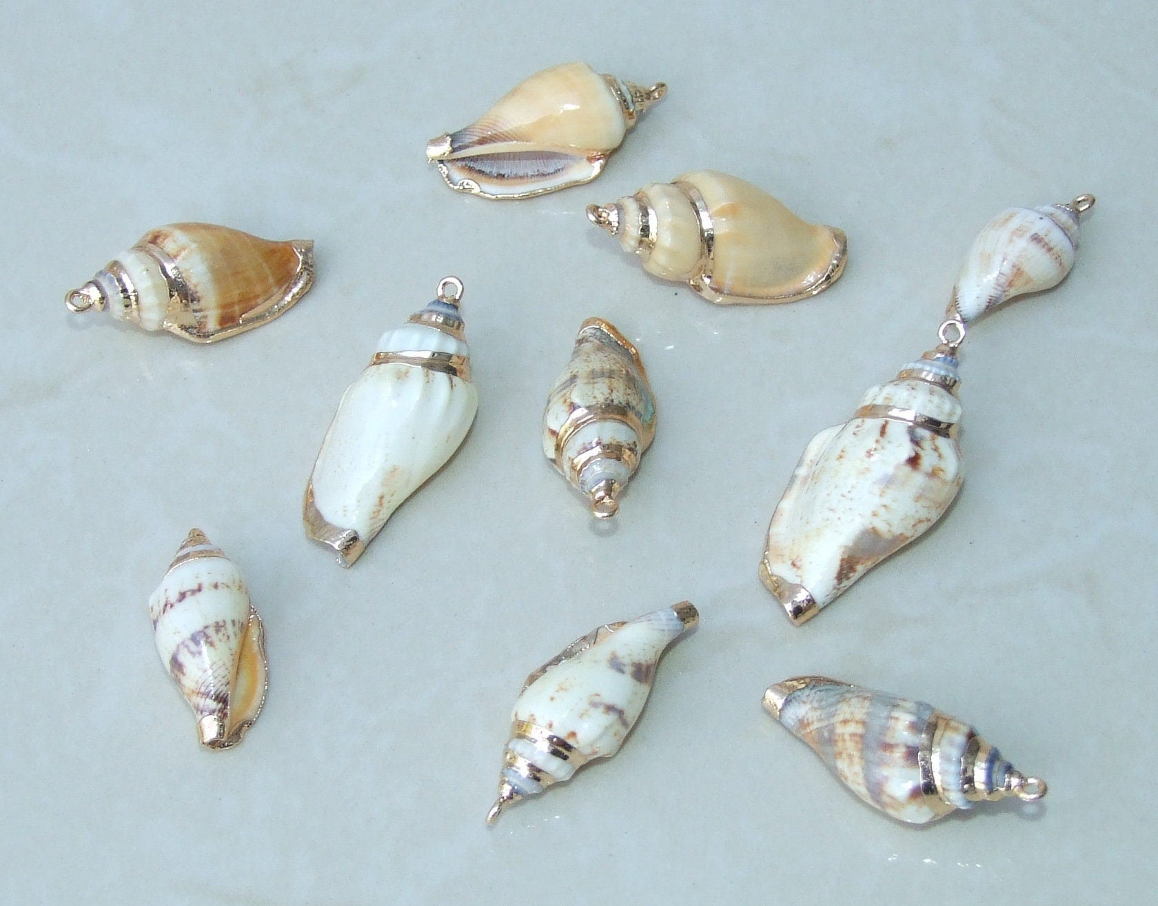 May include: A collection of nine seashells with gold accents. The seashells are various shapes and sizes and have a light brown and white color scheme.