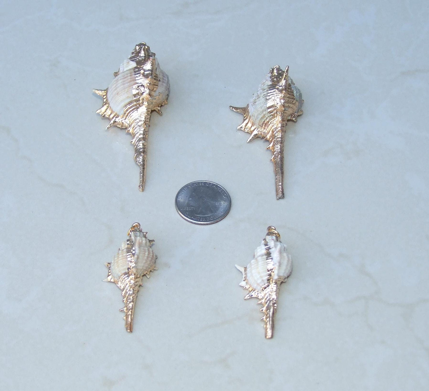 Gold or Silver Natural Murex Turnispina Seashell Pendant, Spiral Shell Bead, Display Shell, Jewelry Shell, Conch Shell, Beach Decor, 50-85mm - EDGBeadsandGems