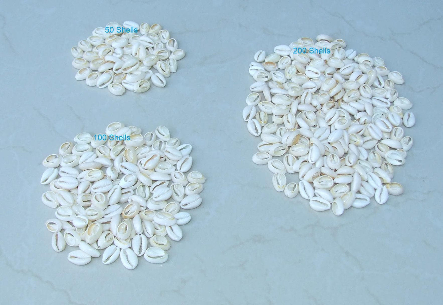 cowrie shells