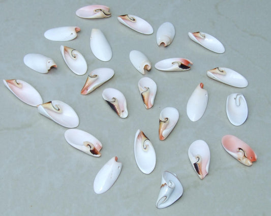Raw Healing Crystal | Stones and Crystals