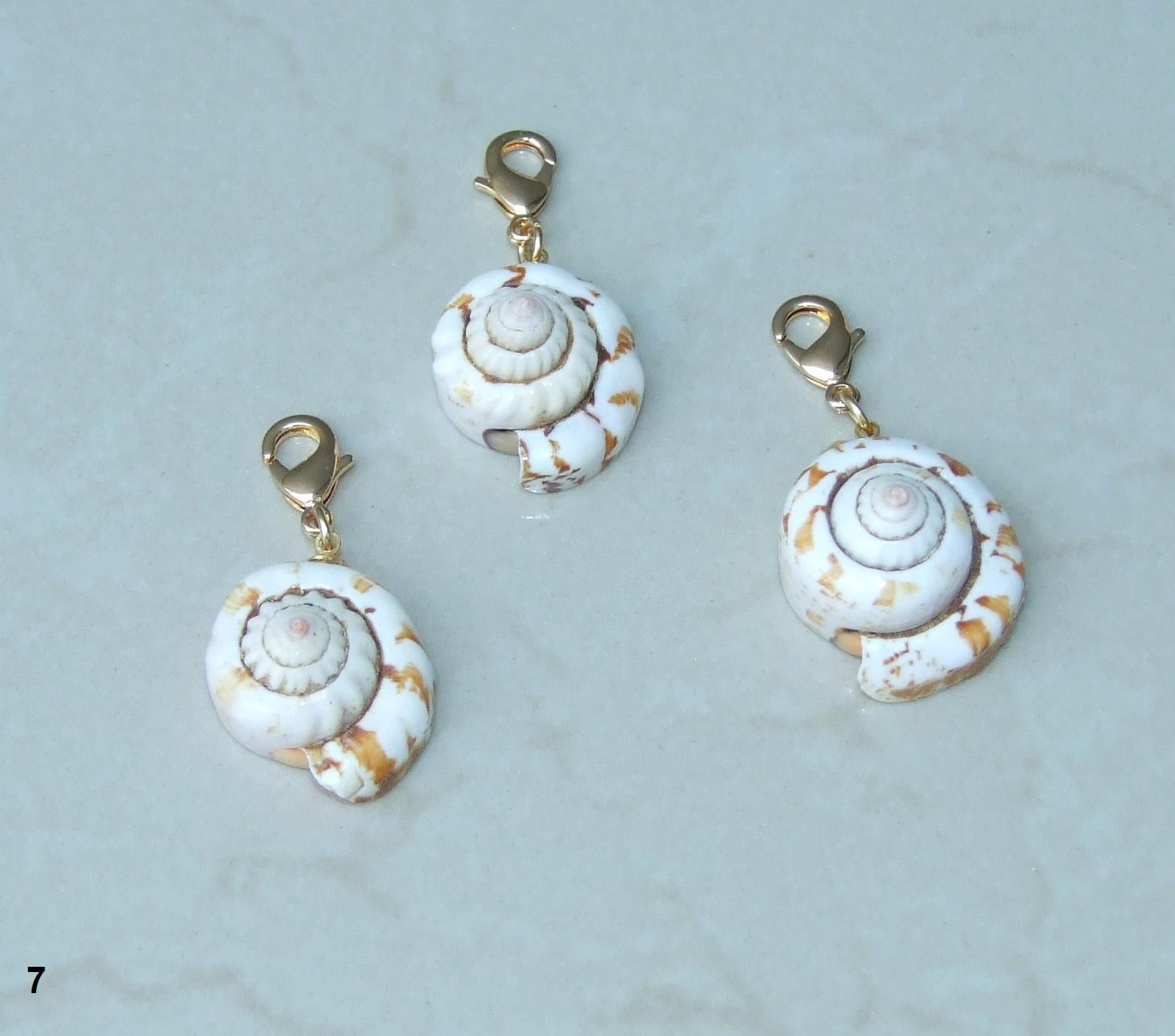 Shiva Eye Natural Spiral Shell Red Lip Pendant, Small Natural Seashell Pendant, Spiral Shell Bead, Beach, Shell Jewelry, 20-27mm, 45-06 - EDGBeadsandGems