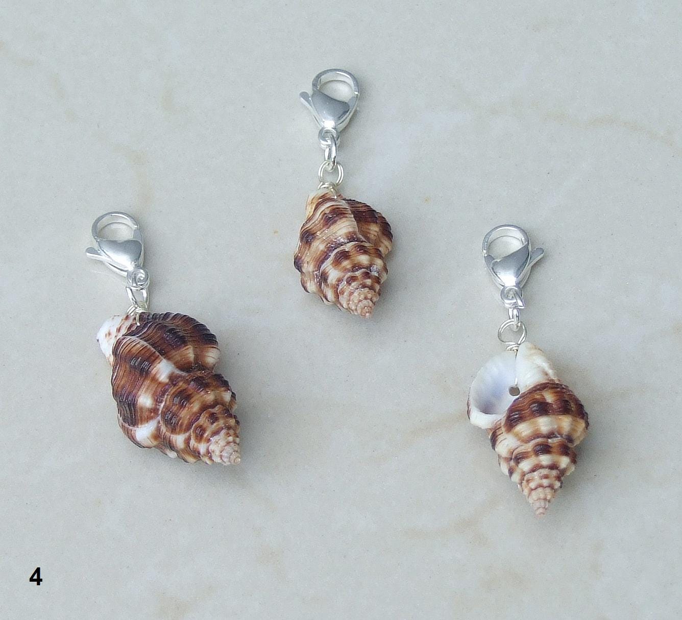 Four Different Sterling Plated Seashell Charm Pendants., Natural Sea shell, Seashell Necklace, Beach Ocean Jewelry, Fun in the Sun - EDGBeadsandGems