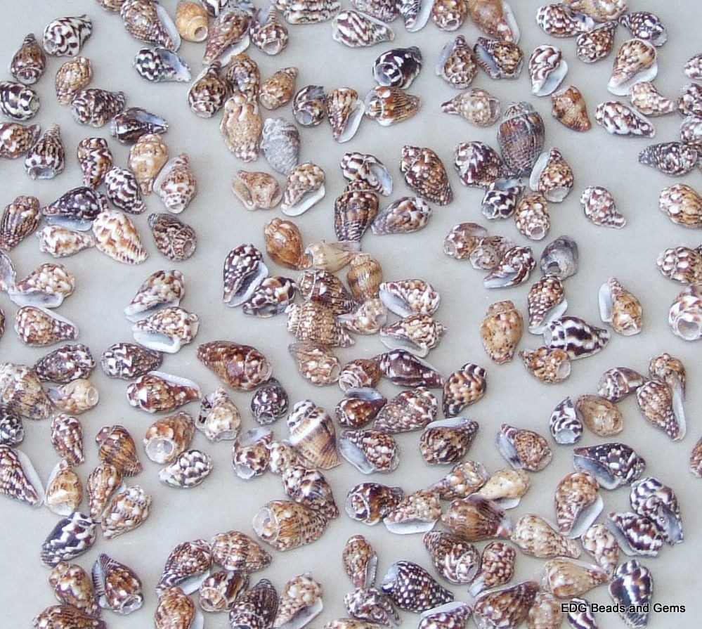 50 Very Tiny Natural Spiral SeaShells, Spiral Shell Beads, Seashell, Center Drilled, Beach Decor, BOHO, Ocean Shell - 8mm - 11mm - S001-04
