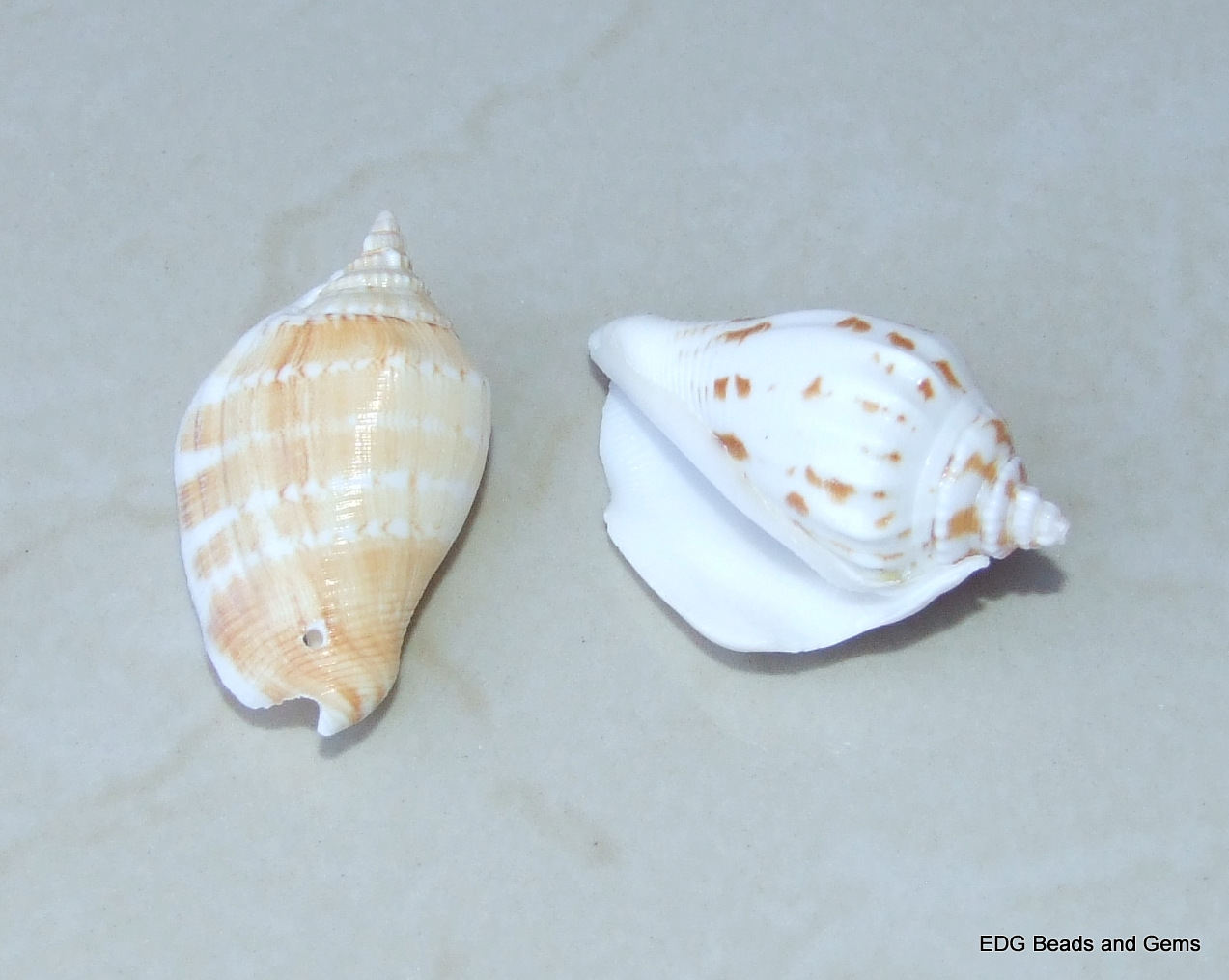 4 Large Natural Conch Sea Shell, Spiral Shell Bead, Seashell, Shell Bead, Beach Decor, Ocean Shells, Shell Jewelry, 40mm - 45mm, 007-57